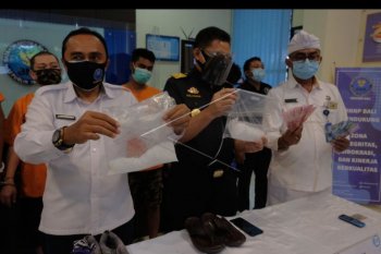 Pengungkapan jaringan narkoba di Bali