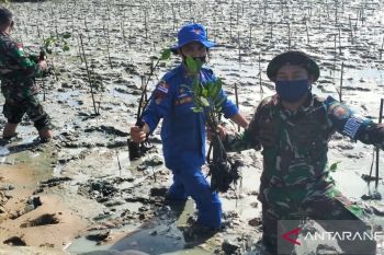 Satuan Kepolisian Air tanam mangrove cegah abrasi pantai