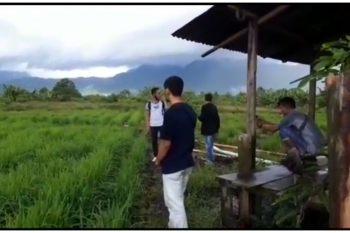 Sawah di Desa Panggak Darat Kabupaten Lingga