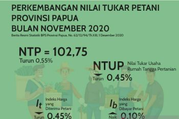 Nilai tukar petani Papua November turun