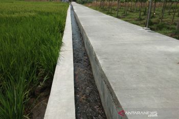 Pemkab mengimbau petani rutin pantau saluran irigasi antisipasi meluap