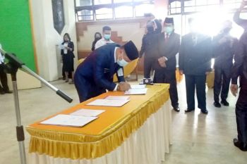 Pentingnya kedewasaan dalam demokrasi, kata Bupati Barsel