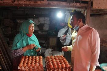 Bergaris keturunan Solok, Audy Joinaldy berkomitmen kembalikan kejayaan pertanian Sumbar