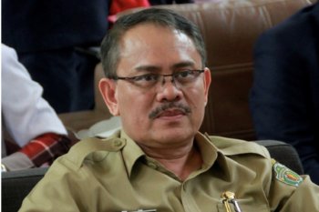 ekspor perdana tujuan India lidi nipah asal Kaltim