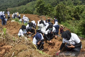 Gerakan pelajar menanam Jahe merah