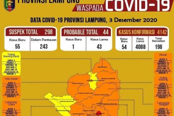Pasien COVID-19 di Lampung terus bertambah, kini jumlah totalnya jadi 4.142