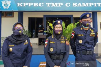 Kualitas terbaik dunia, rotan Sampit diincar di luar negeri