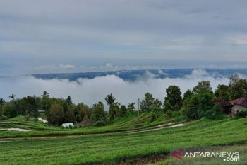 Mimpi Desa Panji Anom-Buleleng jadi destinasi wisata alam