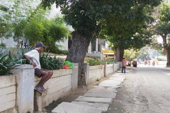 DPRD  imbau Pemkot Palu junjung tinggi hak anak dalam menindak gepeng