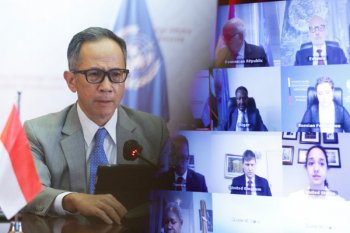 Indonesia akan lawan aksi proteksionisme  dagang  berkedok kampanye lingkungan