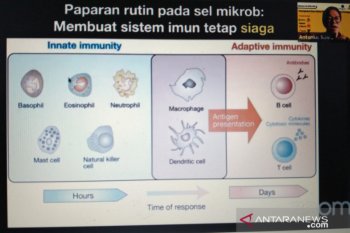 Menjaga sistem imunitas tubuh tetap siaga sangat penting, kata Pakar