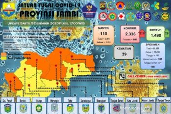 Kasus positif COVID-19 di Jambi bertambah 113