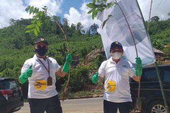 BPJN Sulut lakukan gerakan penanaman pohon di KSPN Likupang-Minut
