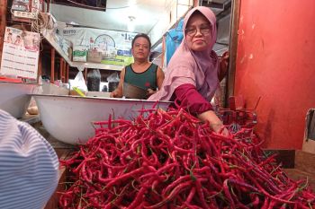 Pasokan berkurang buat harga cabai rawit naik jadi Rp50 ribu per kilogram di Padang