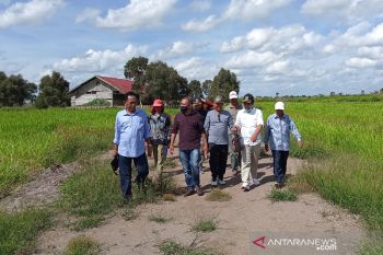 Infrastruktur eks transmigrasi di Barsel perlu dibenahi