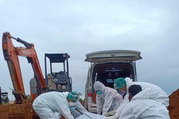 Warga sembuh COVID-19 di Papua bertambah 132 orang