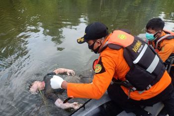 Basarnas temukan nelayan meninggal di perairan wisata Batugong Konawe