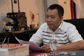 NTB serius menjajaki kerja sama investasi PLT Biomassa dengan Denmark