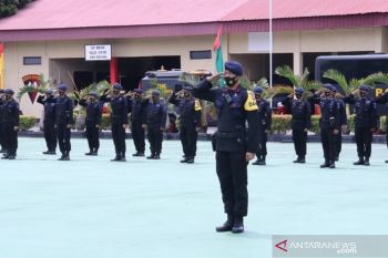Brimob Polda Sumsel perkuat  pengamanan pilkada tujuh kabupaten