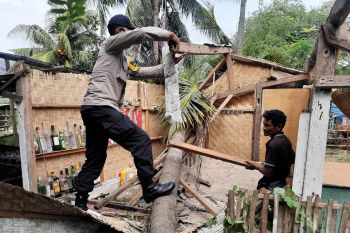 Saat pilkada di Loteng, rumah warga Pujut roboh tertimpa pohon kelapa saat angin kencang