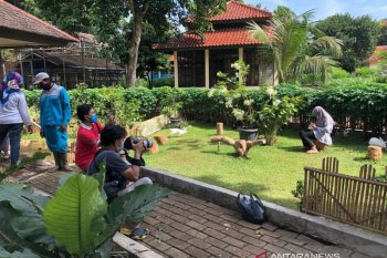 Taman Kelinci Betawi di tengah pandemi