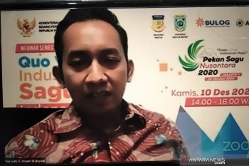 ANJ nilai sagu Papua dapat jadi pilar ketahanan pangan nasional