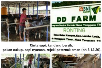 DD Farm: Program Pemberdayaan Kaum Miskin