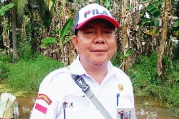 Petani Kotim antusias budidayakan porang
