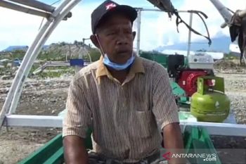 Buaya jadi ancaman nelayan di Teluk Palu