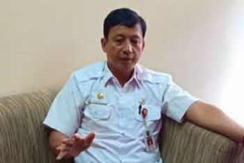 Petani sawit di Kuansing terima bibit sawit unggul