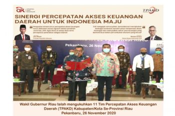 Pengukuhan Tim TPAKD