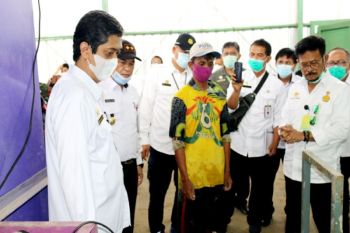 Tinjau kawasan food estate, Mentan tekankan pentingnya industri pengolahan
