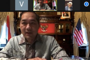 Dubes Lutfi: Pentingnya komitmen ekonomi atasi dampak pandemi