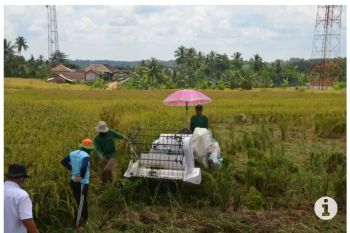 PT Pusri Palembang salurkan bantuan 20 ton pupuk untuk petani