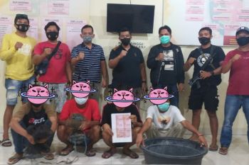 Terdesak masalah ekonomi, empat pemuda curi ratusan udang di tambak Poto Tano KSB