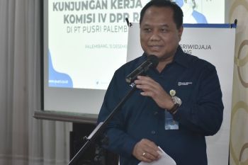 Pusri munculkan Dumai dan Palembang, alternatif bangun pabrik Pusri IIIB