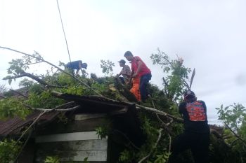 194 bencana alam terjadi di Agam selama 2020