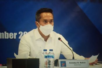 Bakrie Brother nilai bisnis pada tahun 2021 tetap optimistis