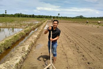 Program IPDMIP menjadi solusi untuk pertanian berkelanjutan