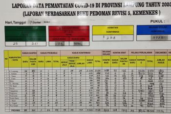 Jumlah konfirmasi positif COVID-19 di Lampung bertambah 103 pasien