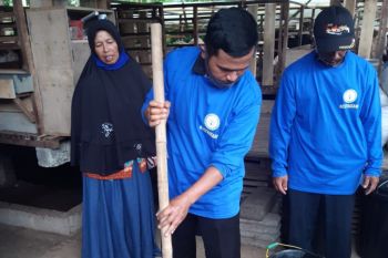 Polbangtan Yoma mengembangkan inovasi pengolahan limbah urine domba