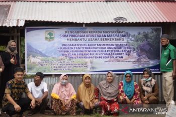 Pengabdian Masyarakat Unand, Membantu Pengembangan Budidaya Ternak Sapi di Ampang Pulai Pesisir Selatan