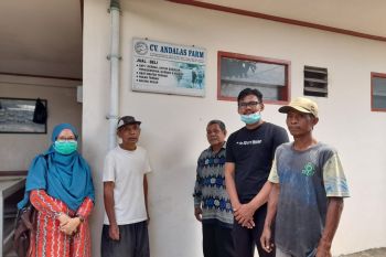 Pengabdian Masyarakat Unand, Silase Limbah Jagung dan Lamtoro Tarramba Sebagai Solusi Penyediaan Pakan Ternak Berkualitas dan Berkesinambungan.