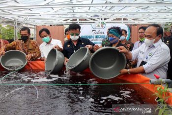 Mentan dorong pengembangan "Integrated Farming System"