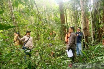 Pembangunan Jembatan Lemo direncanakan mulai  Januari 2021