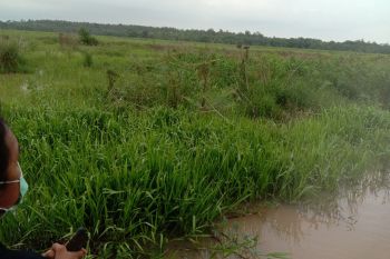 Semua objek wisata di Kabupaten Lampung Timur tutup saat Lebaran