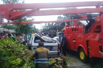 Angin kencang akibatkan pohon sawit tumbang lalu timpa mobil minibus dan rusak
