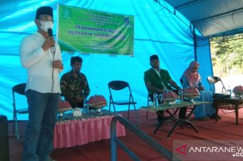 Pemkab Sigi-Fatayat  asah kapasitas warga olah kelor bernilai ekonomi