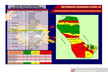 12 kelurahan di Palangka Raya zona merah COVID-19