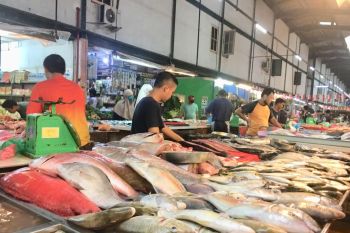 Pemerintah perlu tingkatkan konsumsi ikan